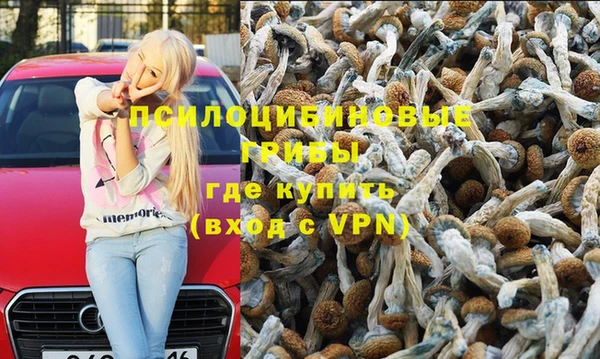 метадон Армянск