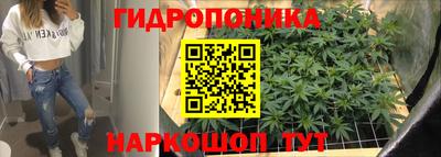 СК Гусь-Хрустальный