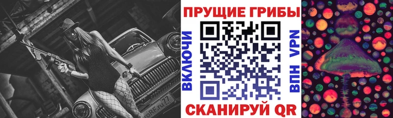 что такое   Нарьян-Мар  omg   Псилоцибиновые грибы прущие грибы 