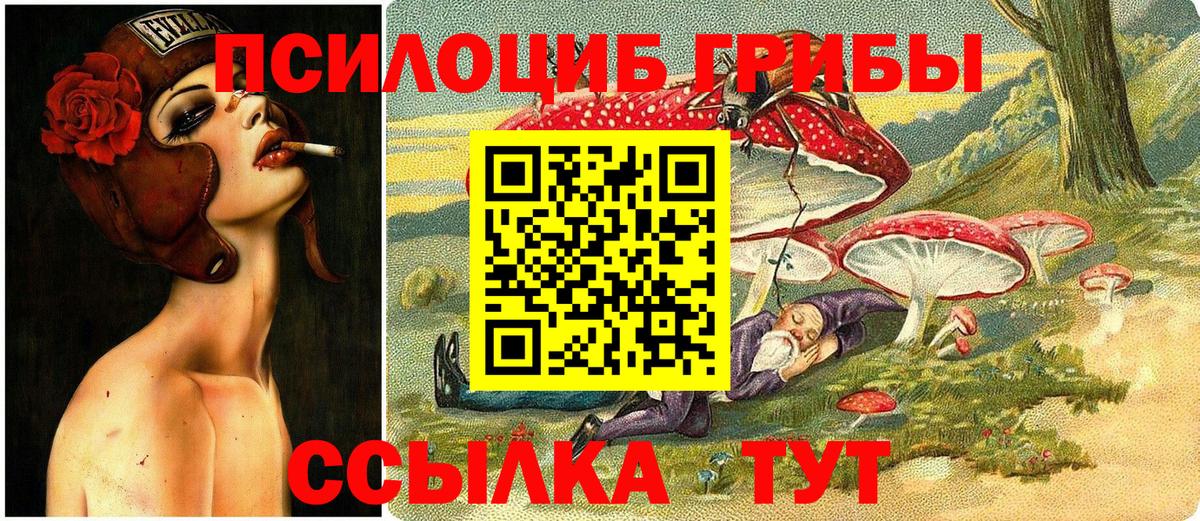Псилоцибиновые грибы мухоморы Нарьян-Мар